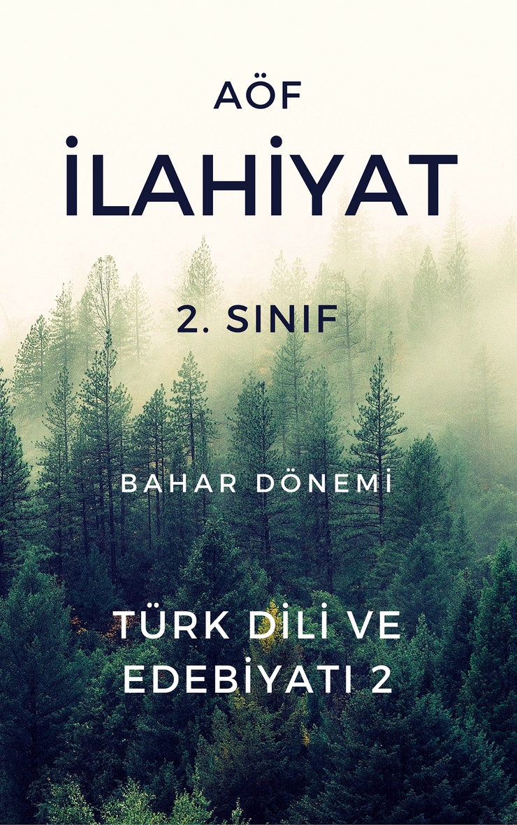 Türk Dili II